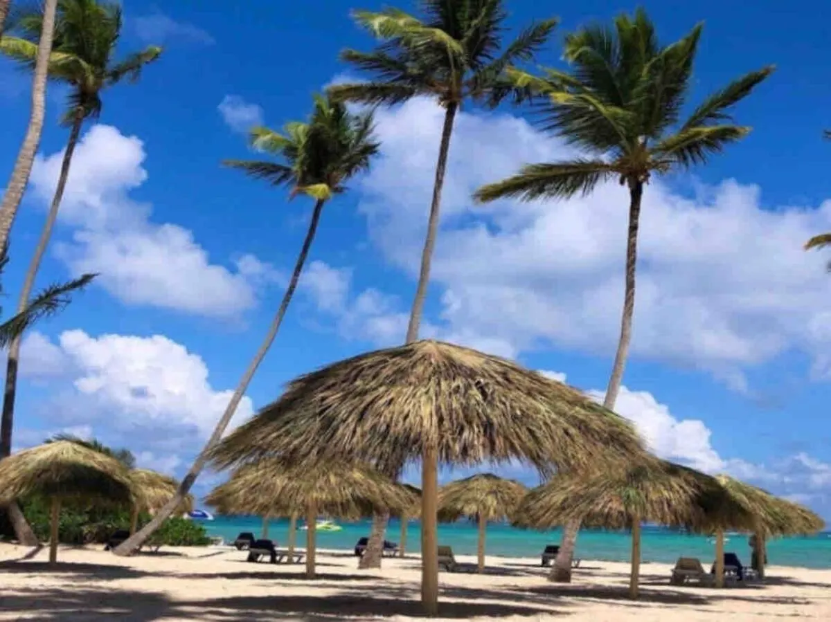 50 Steps To Private Beach Poolside Rooftop Terrace Punta Cana Dominik Cumhuriyeti