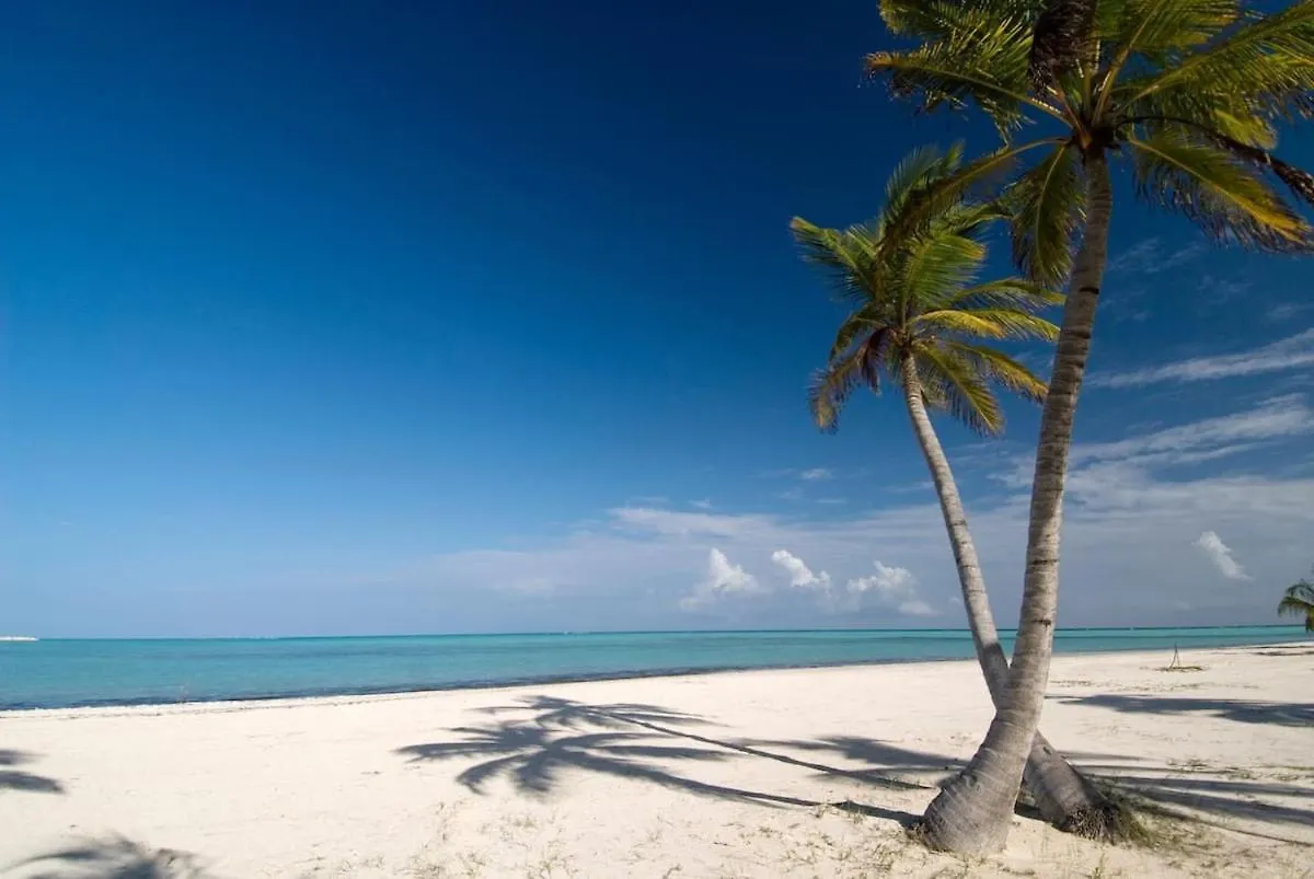 Daire 50 Steps To Private Beach Poolside Rooftop Terrace Punta Cana Dominik Cumhuriyeti