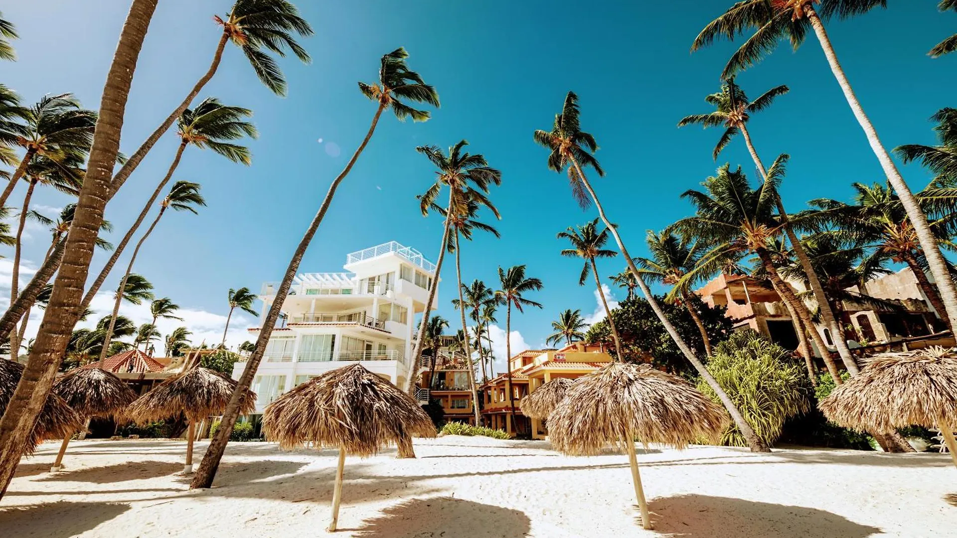 50 Steps To Private Beach Poolside Rooftop Terrace Punta Cana Dominican Republic